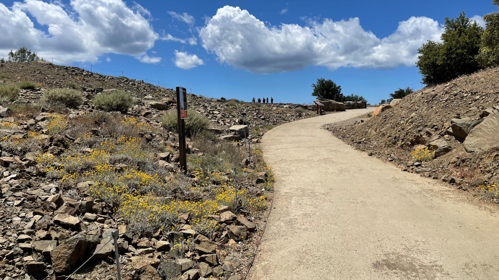 Restored Mount Umunhum summit with native species plantings