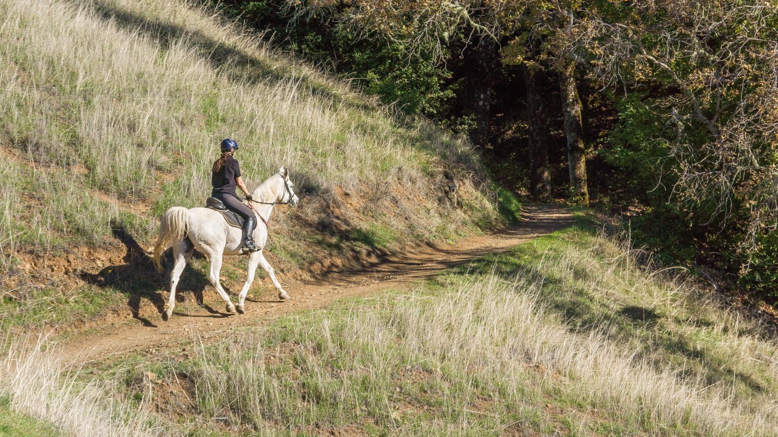 Equestrian on Bella Vista Trail. Photo by Karl Gohl.