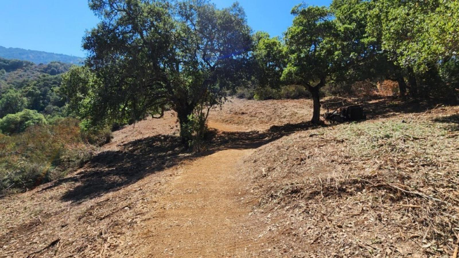 A segment of the Chamise trail after vegetation clearing to create a shaded fuel break