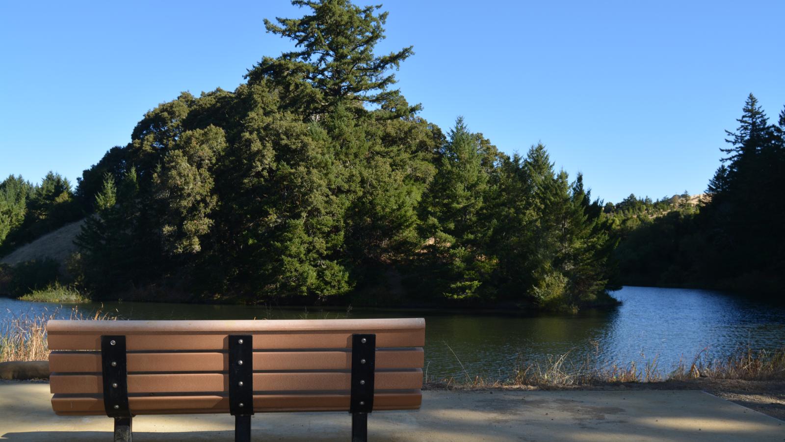 A bench sits on a paved segment of trail in front of Horseshoe lake