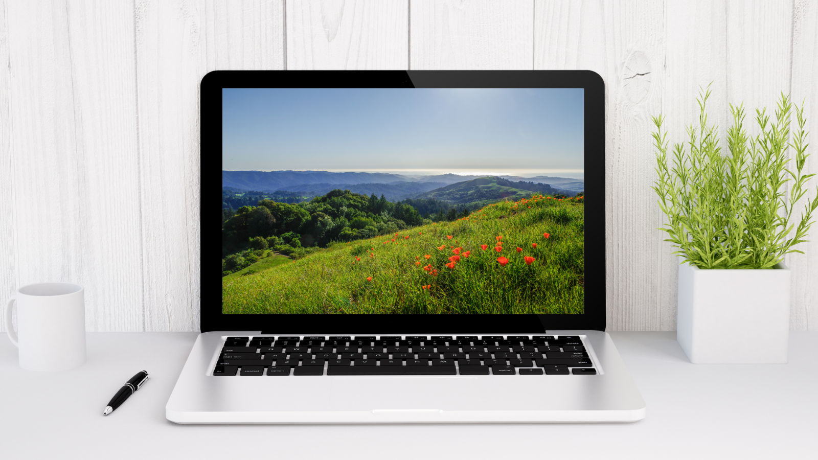 Laptop on a desk with preserve photo on the screen