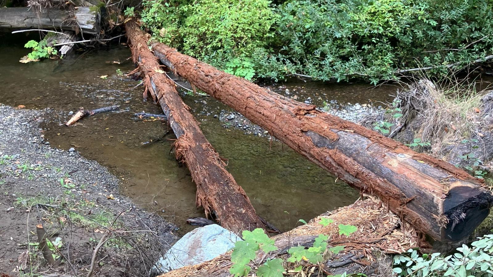 Two large wood logs installed to lay across a creek to increase habitat complexity and health for aquatic species