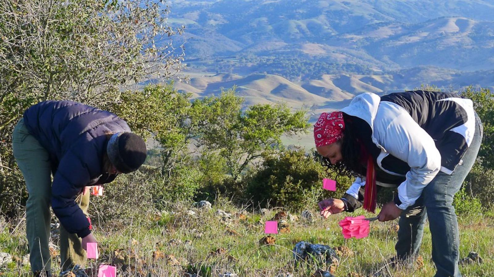 Two members of Creekside Science work on a grassland survey