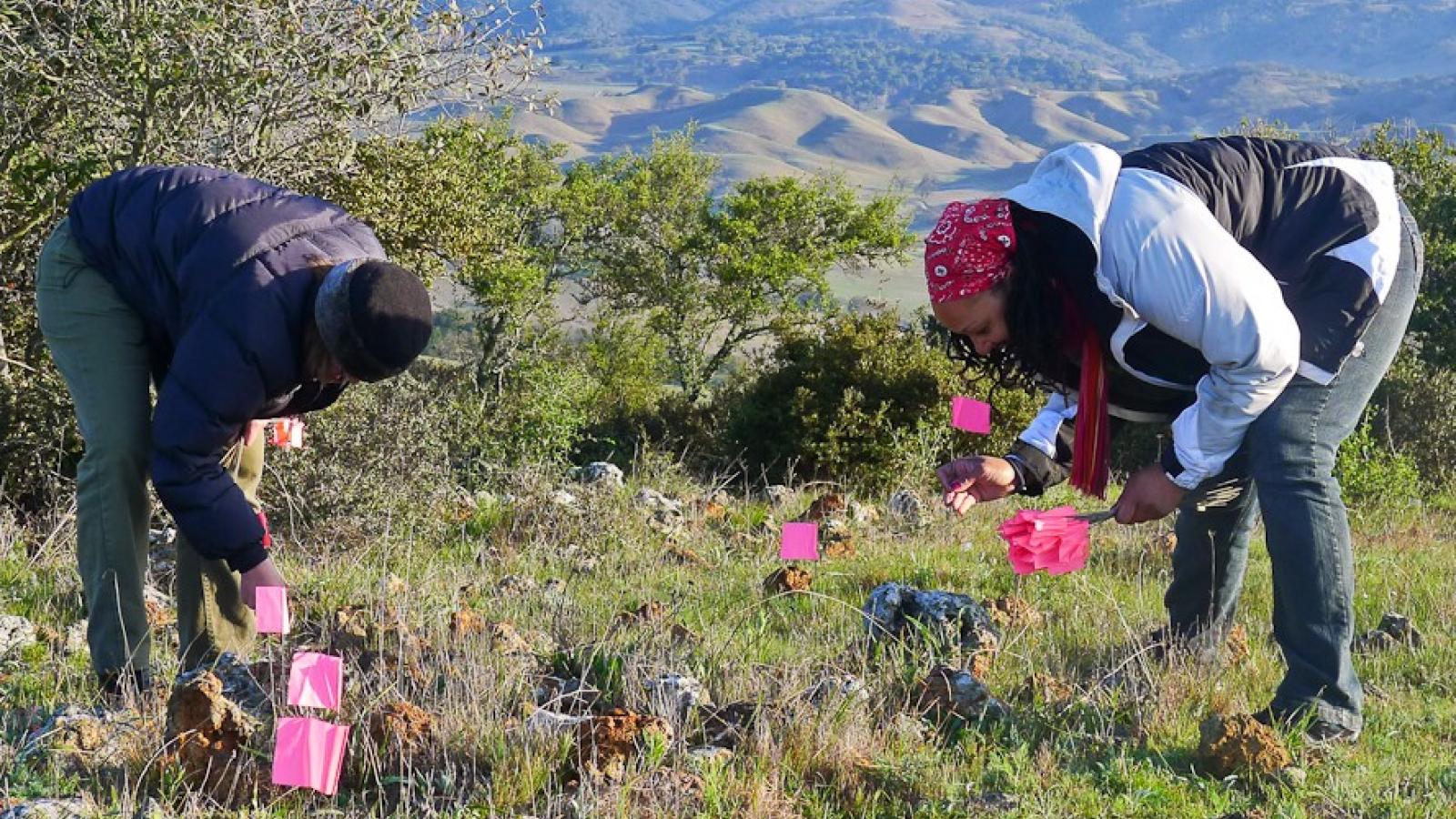 Two members of Creekside Science work on a grassland survey