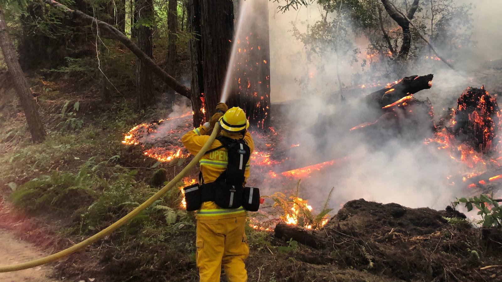 a firefighter sprays water on a fire