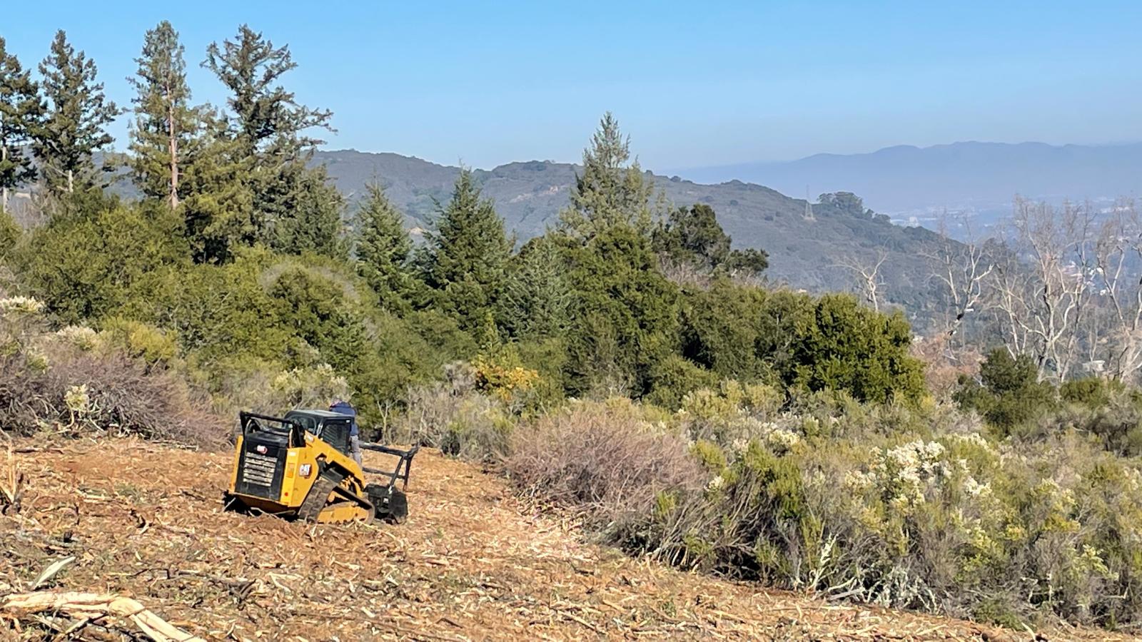 Vegetation management at Bear Creek Redwoods Preserve