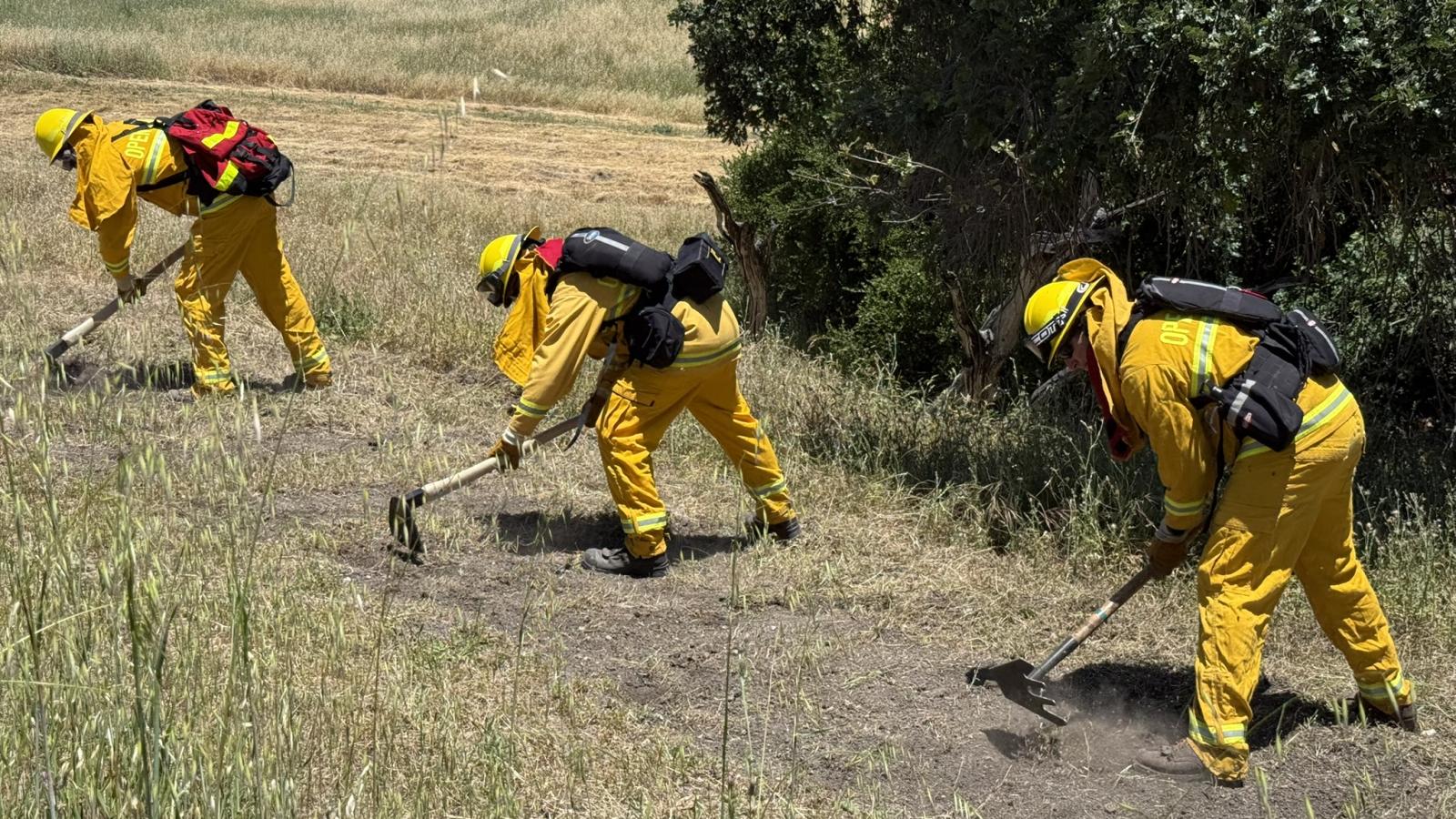 Three people in firefighting gear using tools to create fire break on grassy hillside