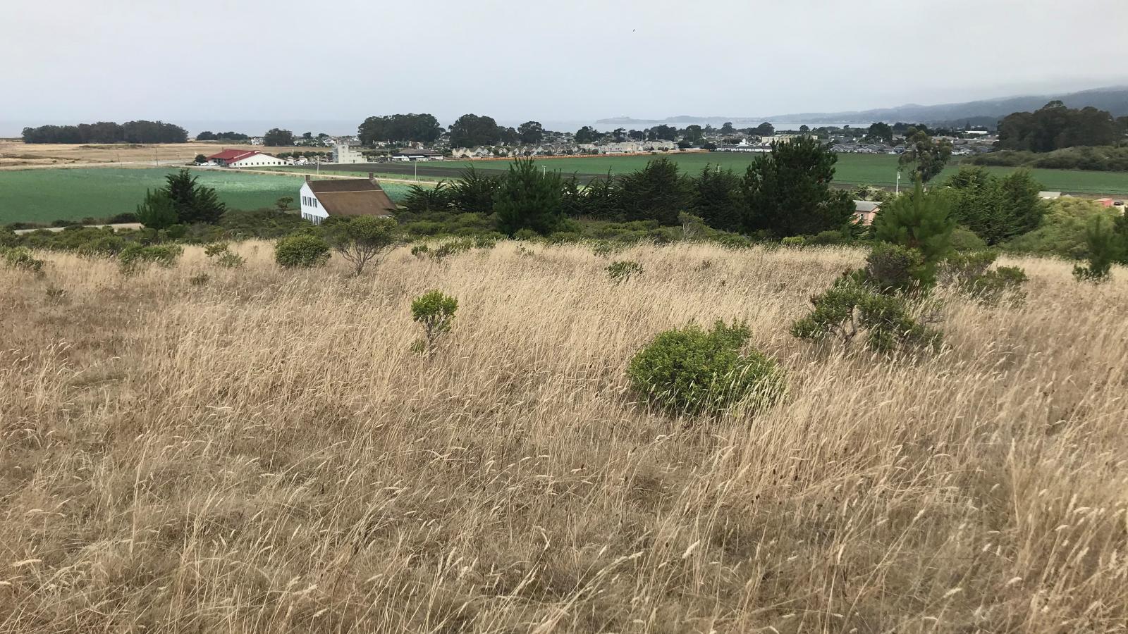 View from Johnston Ranch uplands looking towards Half Moon Bay. (Leigh Ann Gessner)