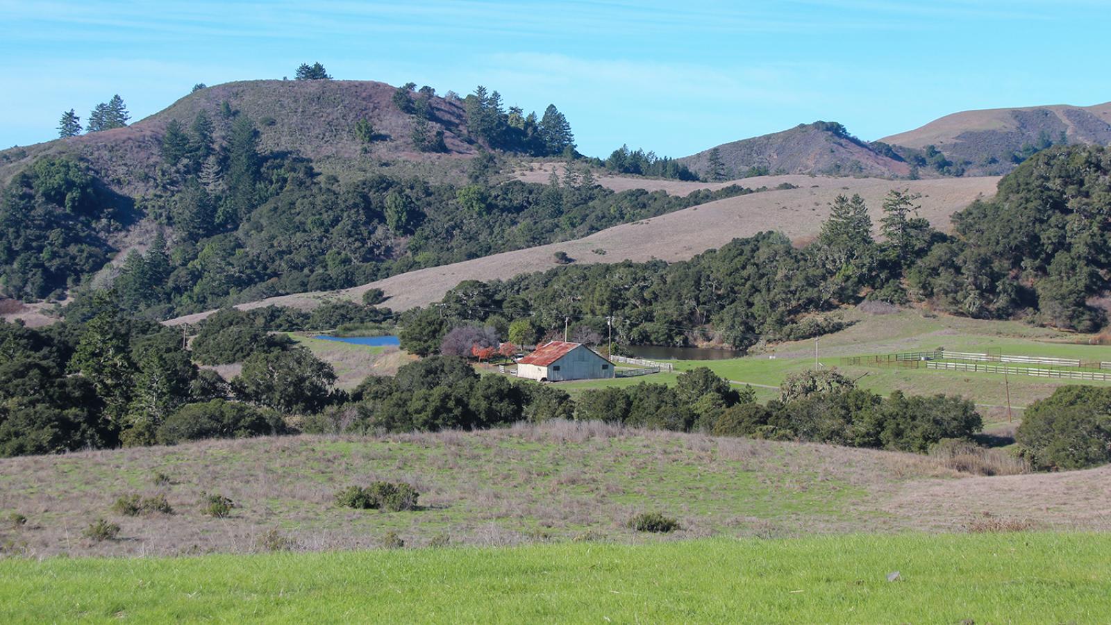 La Honda Creek Preserve. (Frances Freyberg)