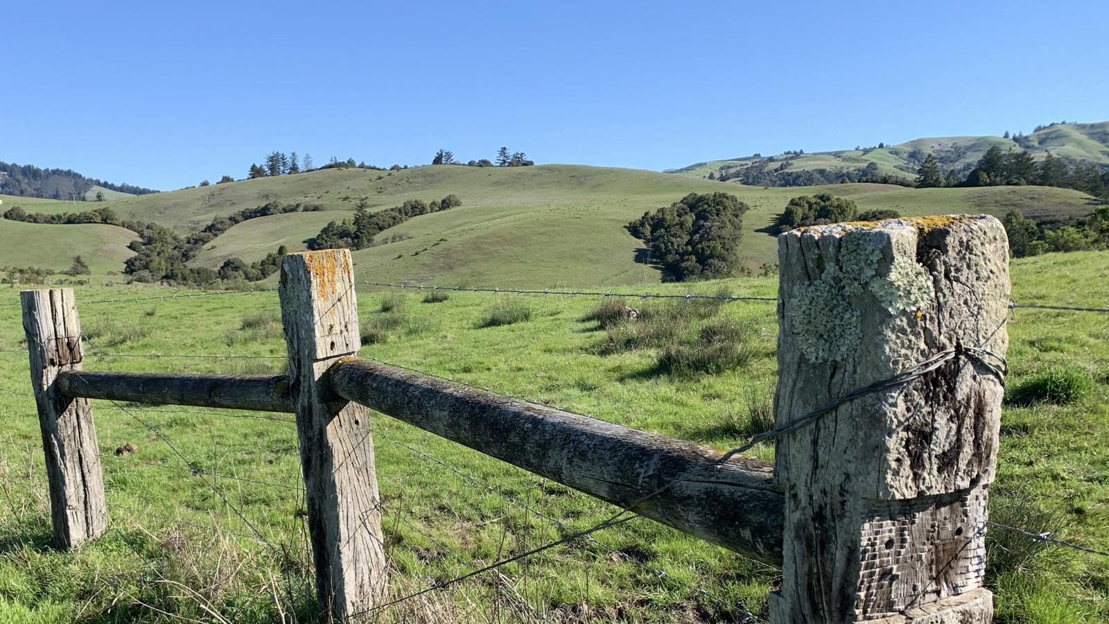 La Honda Creek Preserve (Blair Barnett)