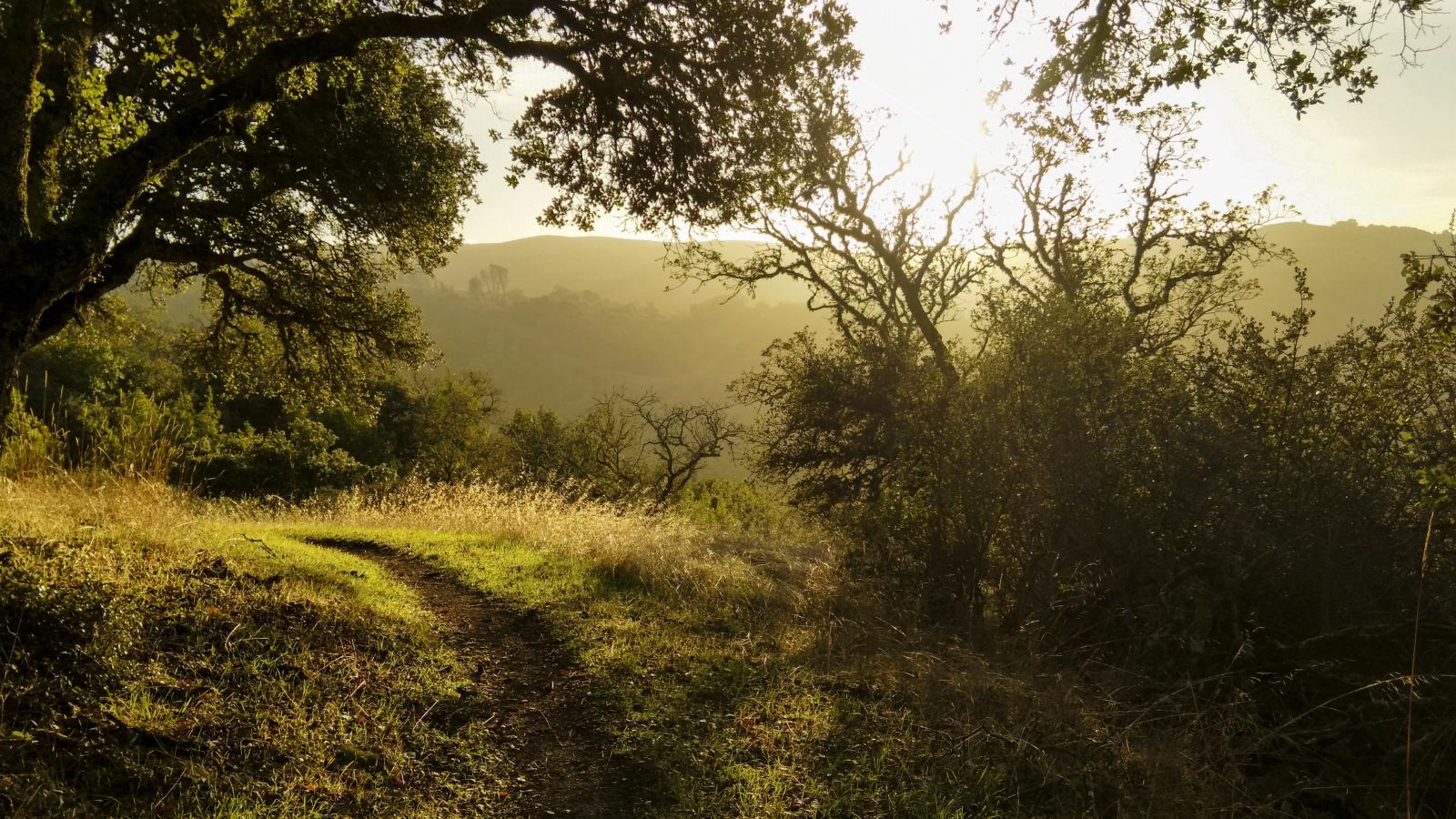 Los Trancos, Sunset Trail