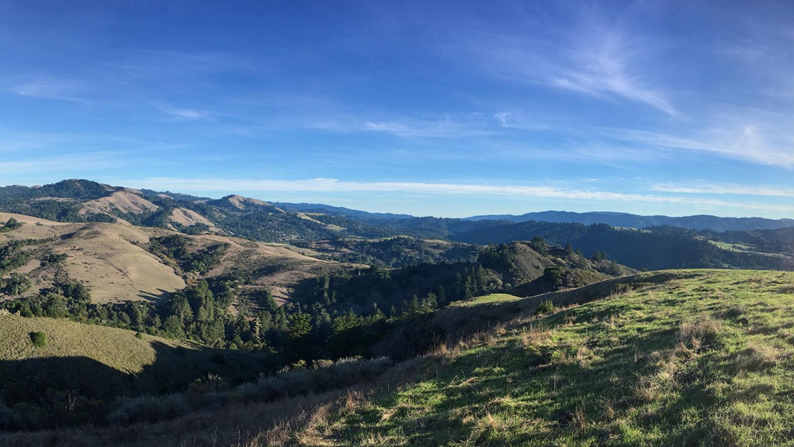 La Honda Creek Preserve by Frances Freyberg