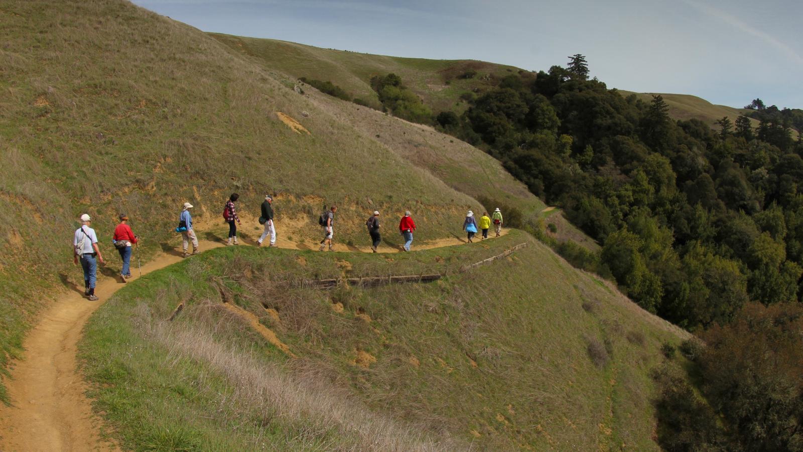 Hikers in Russian Ridge Open Space Preserve / photo by Lanette Otvos