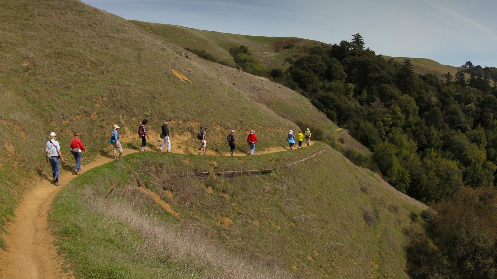 photo by Lanette Otvos Hikers in Russian Ridge Open Space Preserve / photo by Lanette Otvos