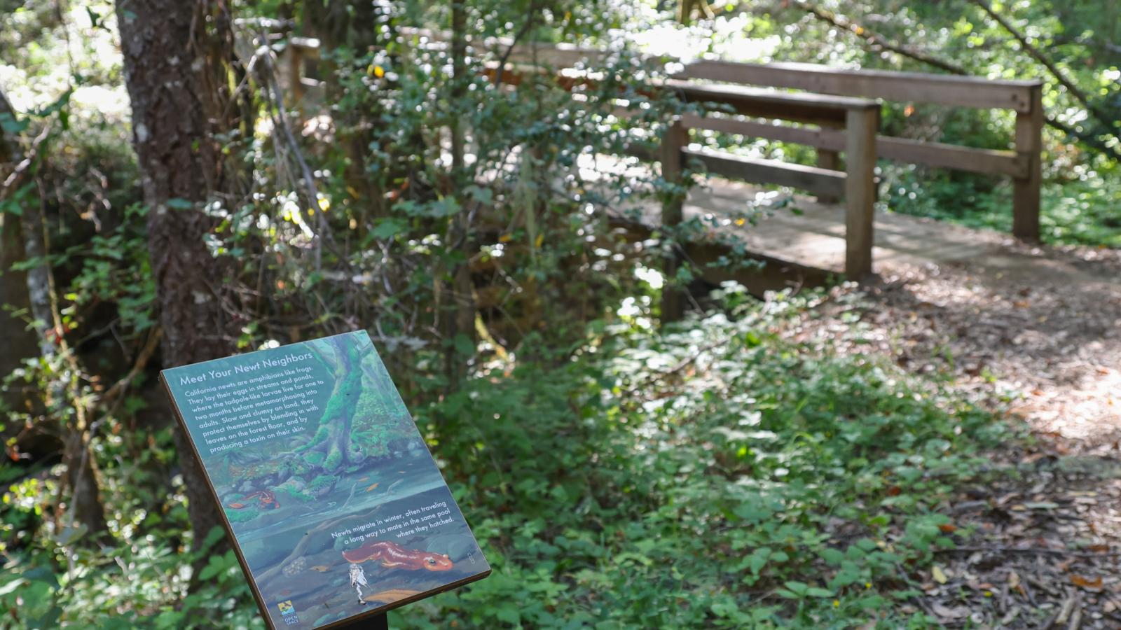 Image of an interpretive sign about newts along the Stevens Creek Nature Trail in Monte Bello Open Space Preserve.