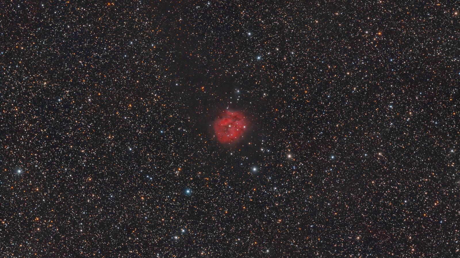 a large red cocoon nebula among the stars