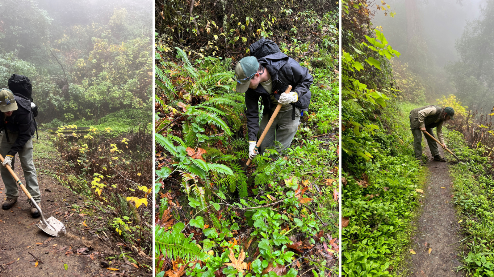 Midpen staff clearing culverts to prepare for storm season.