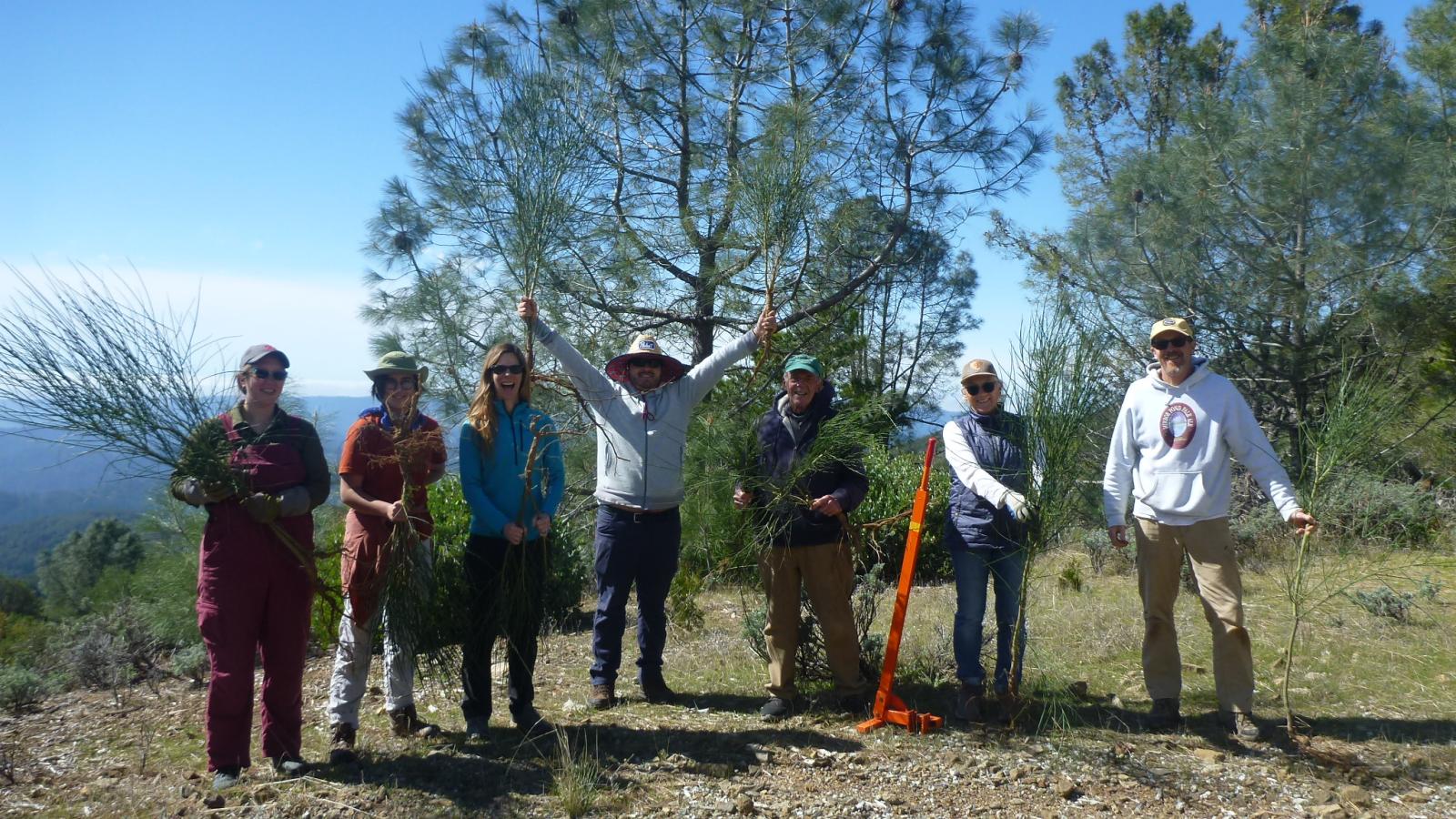 Group of volunteers pose with freshly pulled French broom and weed removal tools