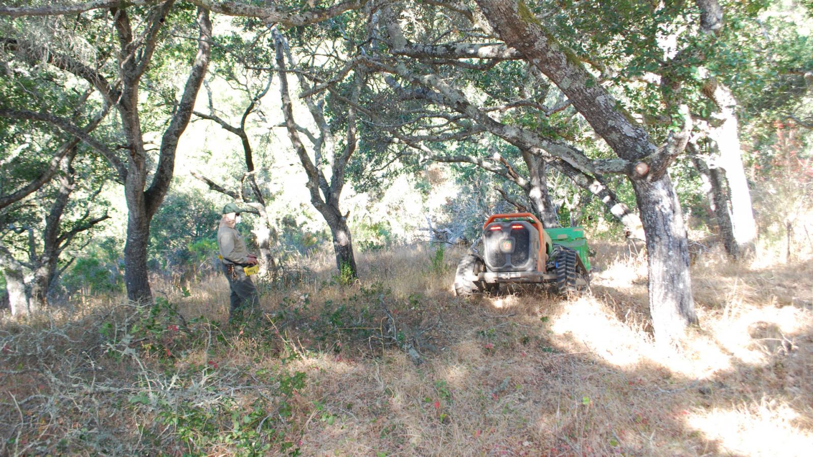 a worker and mower clearing defensible space