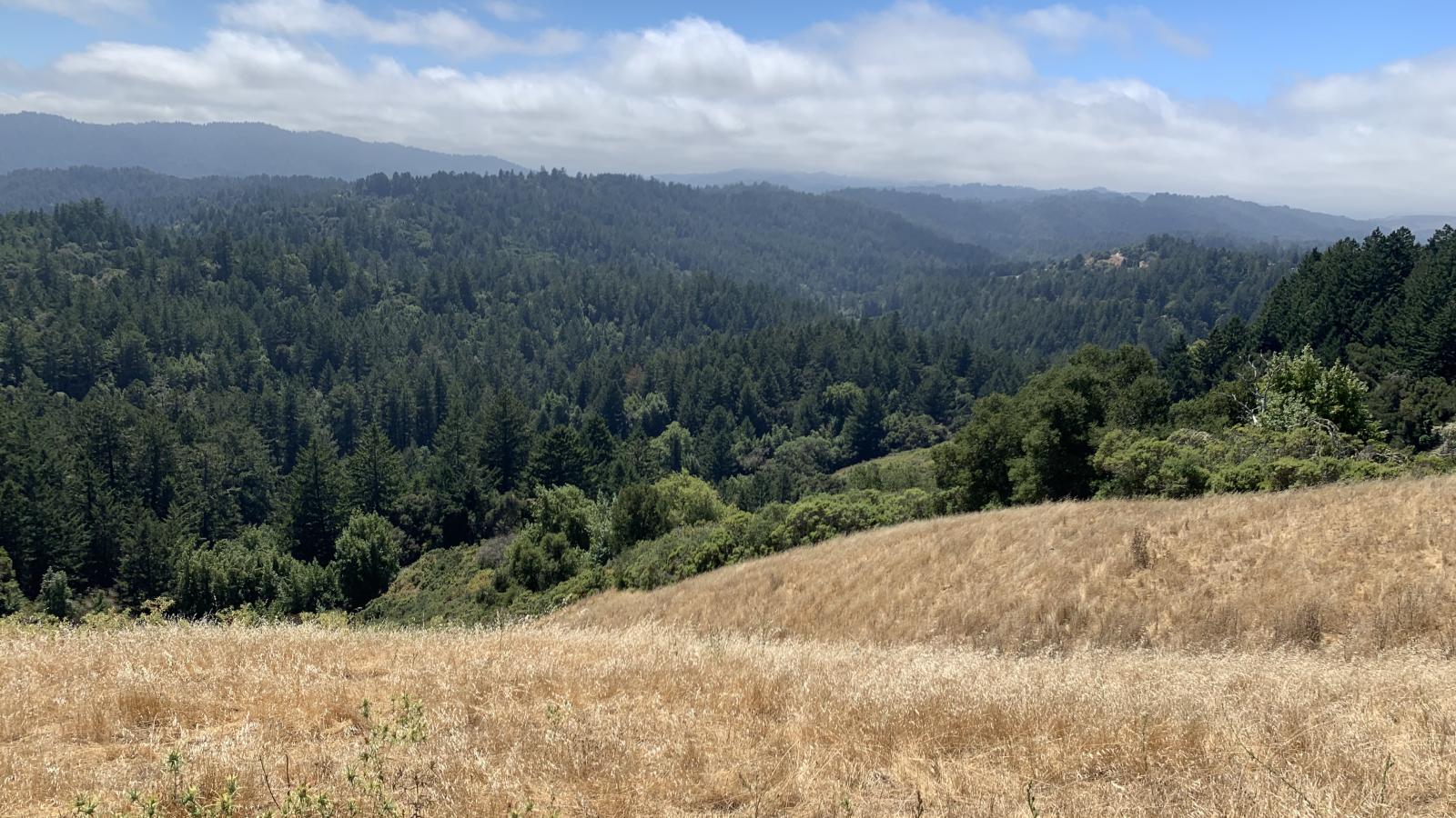 Landscape photo taken from newly purchased property near town of La Honda in 2025