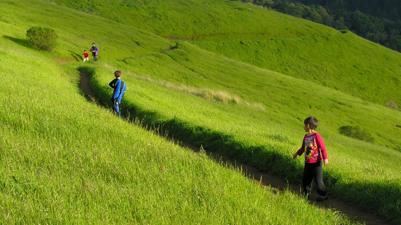 a family walking along a trail