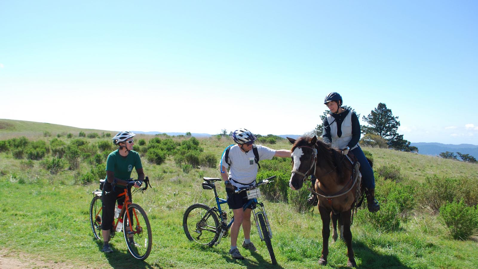 a bicyclist talking to a rider on a horse