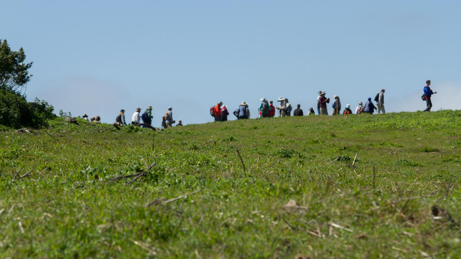 People hiking on green grass with a background of blue sky