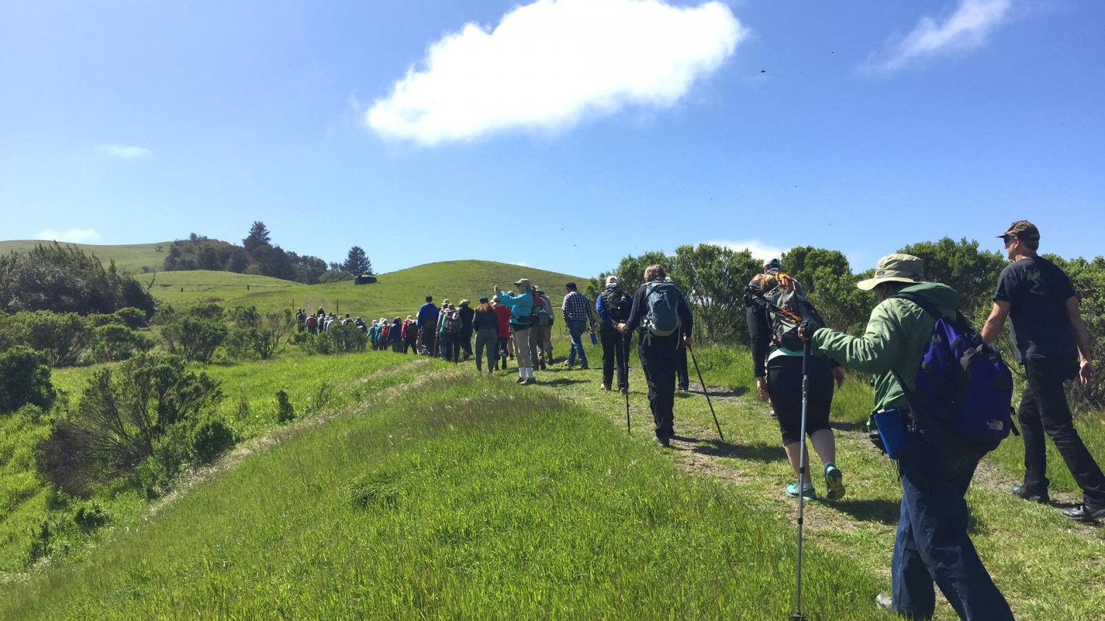 a large group of people hiking up a hill