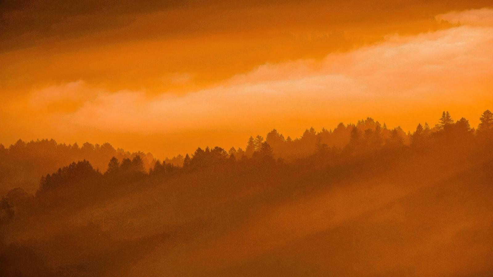 Russian Ridge vista