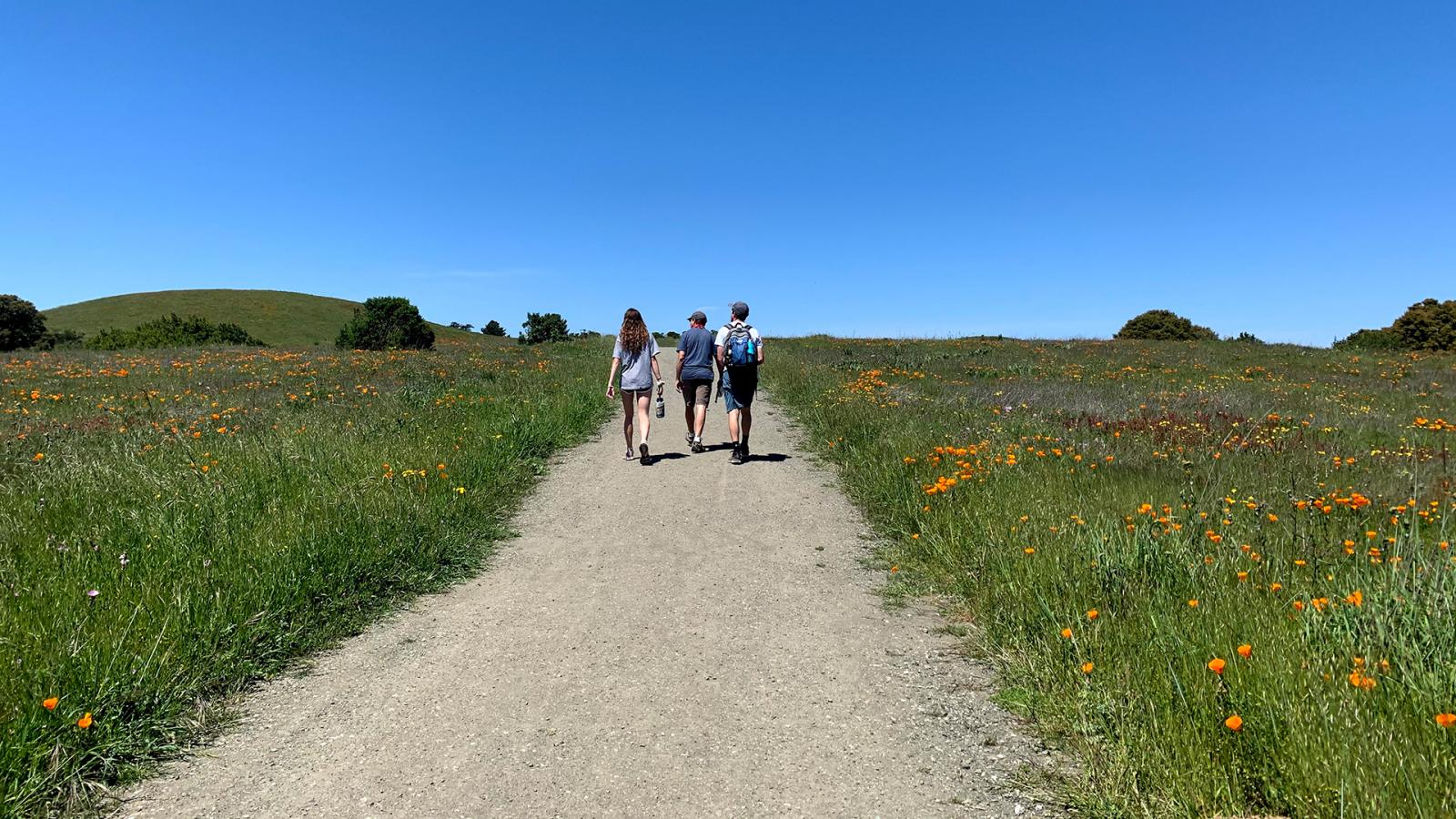 people walking on a trail