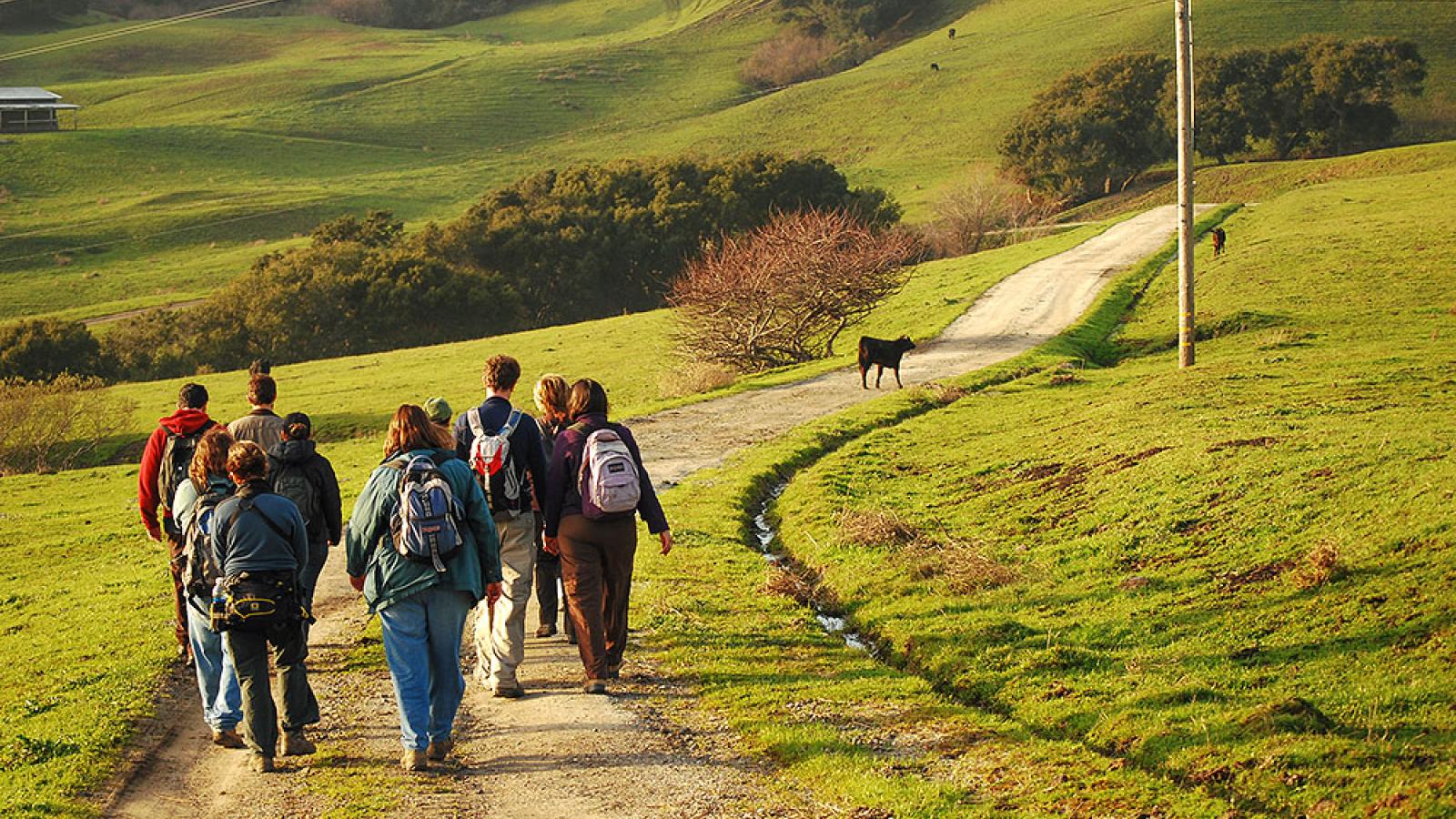 Hiking with grazing animals