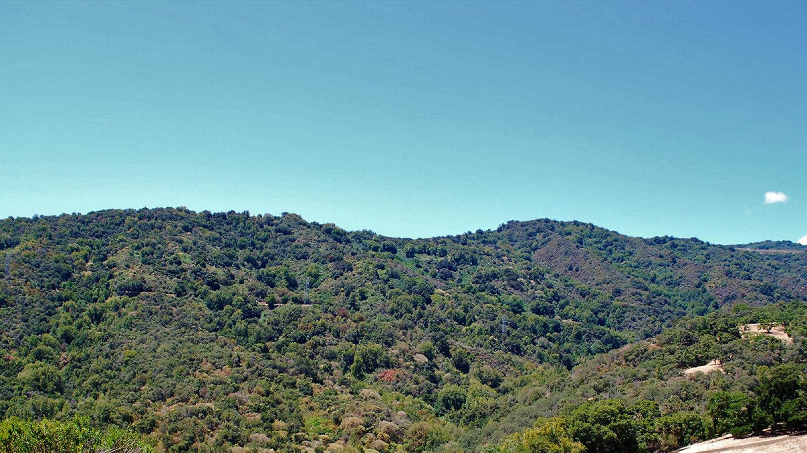 the Rancho San Antonio ridgeline