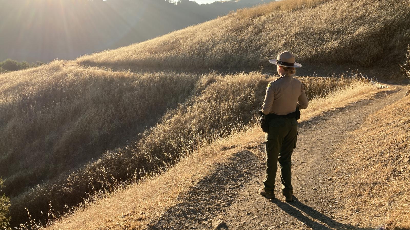 A Midpen ranger stands on a dirt trail surrounded by hills covered in dry grass