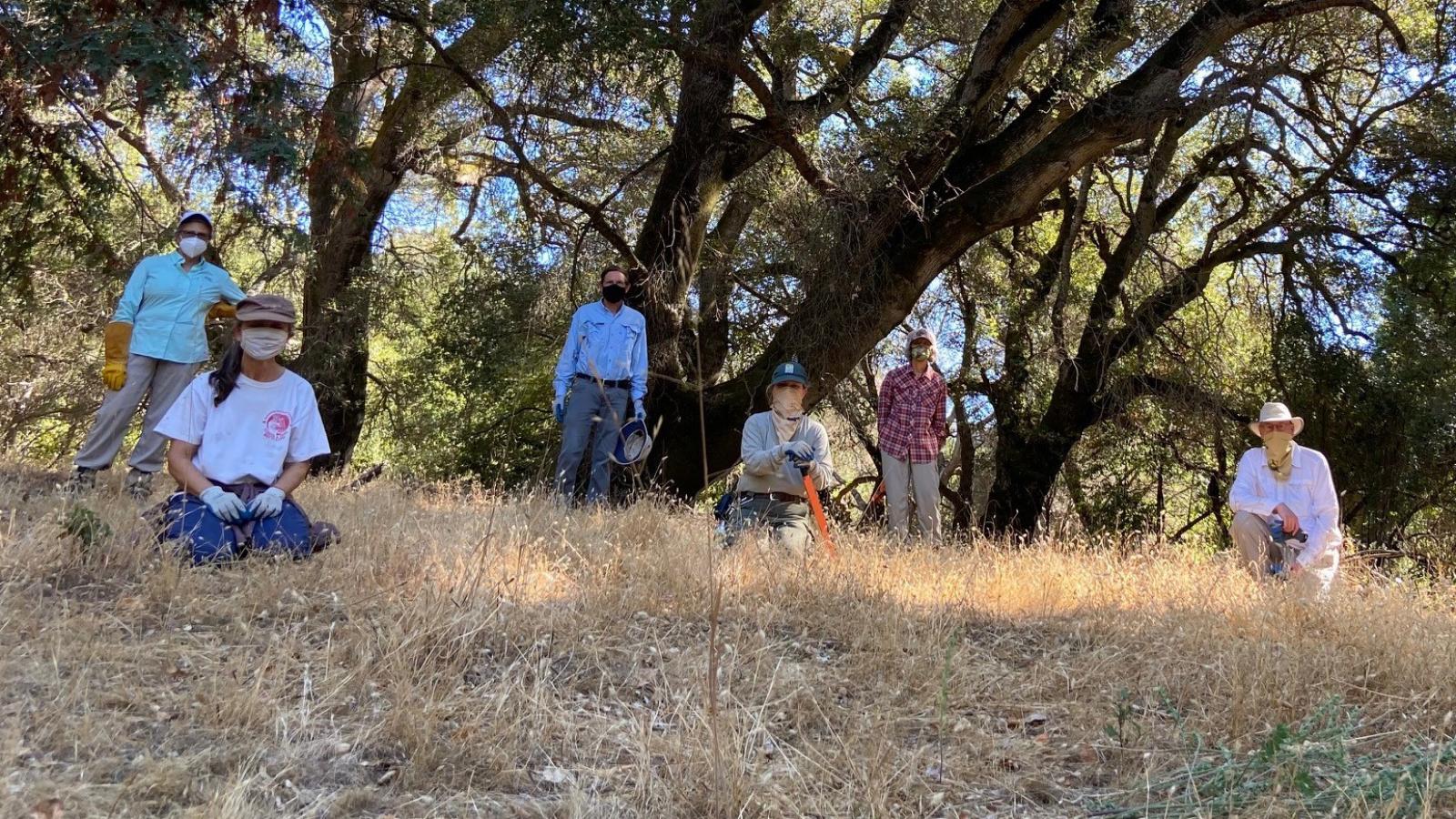 volunteers on a grassy hillside