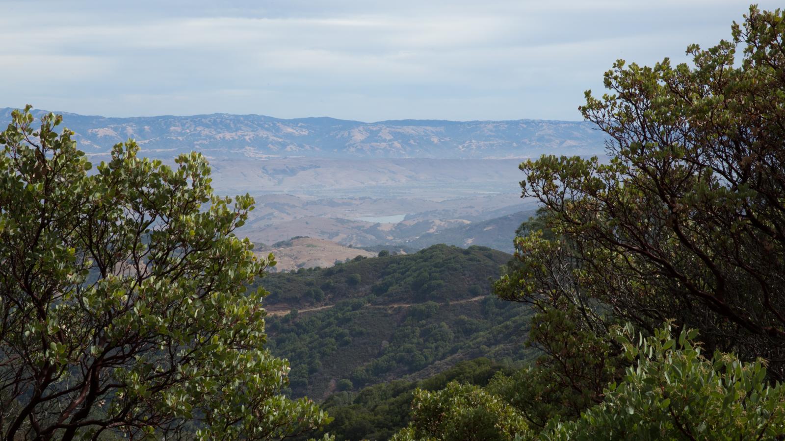 Landscape of Sierra Azul Open Space Preserve.