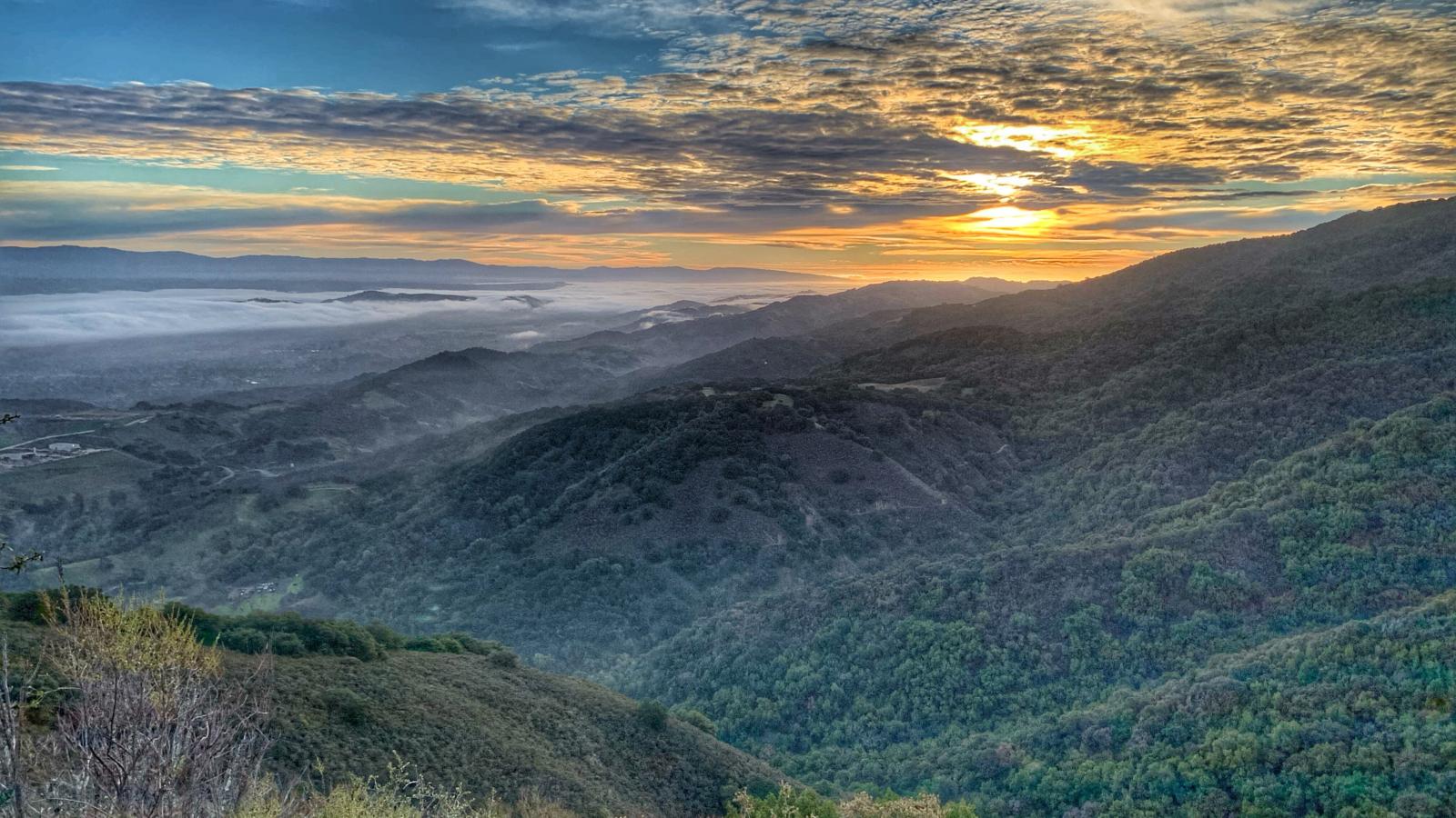 Mt Umunhum