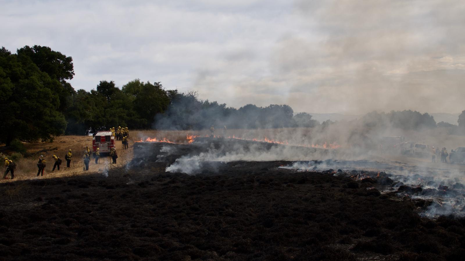 Staff on-site of the prescribed burn at Sierra Azul Preserve