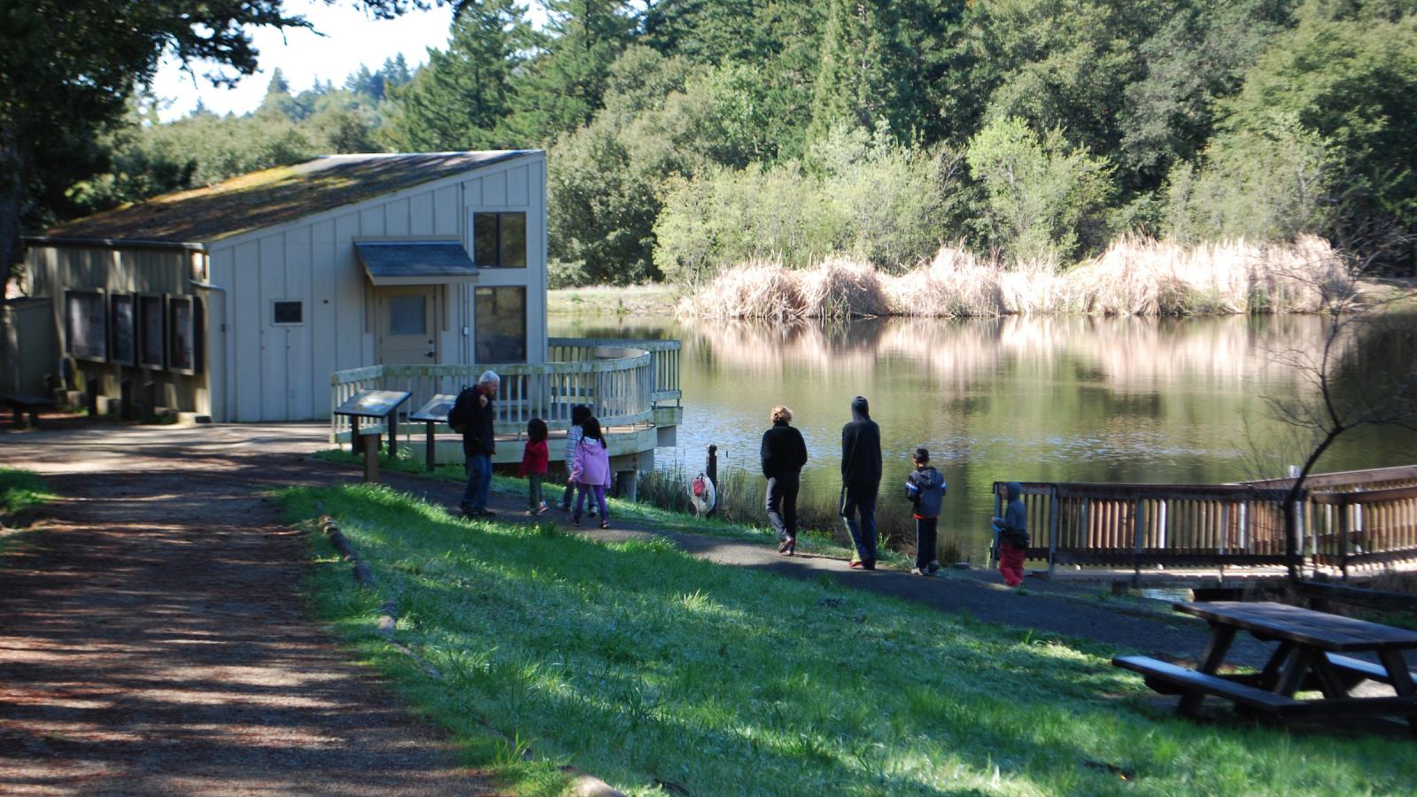 kids on a walk next to a pond
