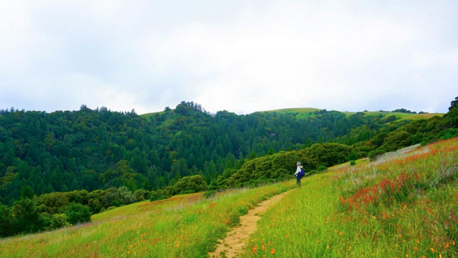 Health Benefits of Nature  Midpeninsula Regional Open Space District