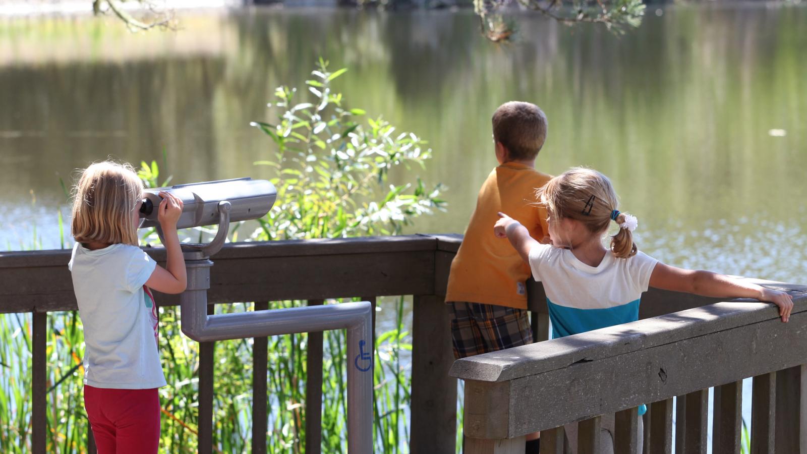 kids on a deck overlooking a pond