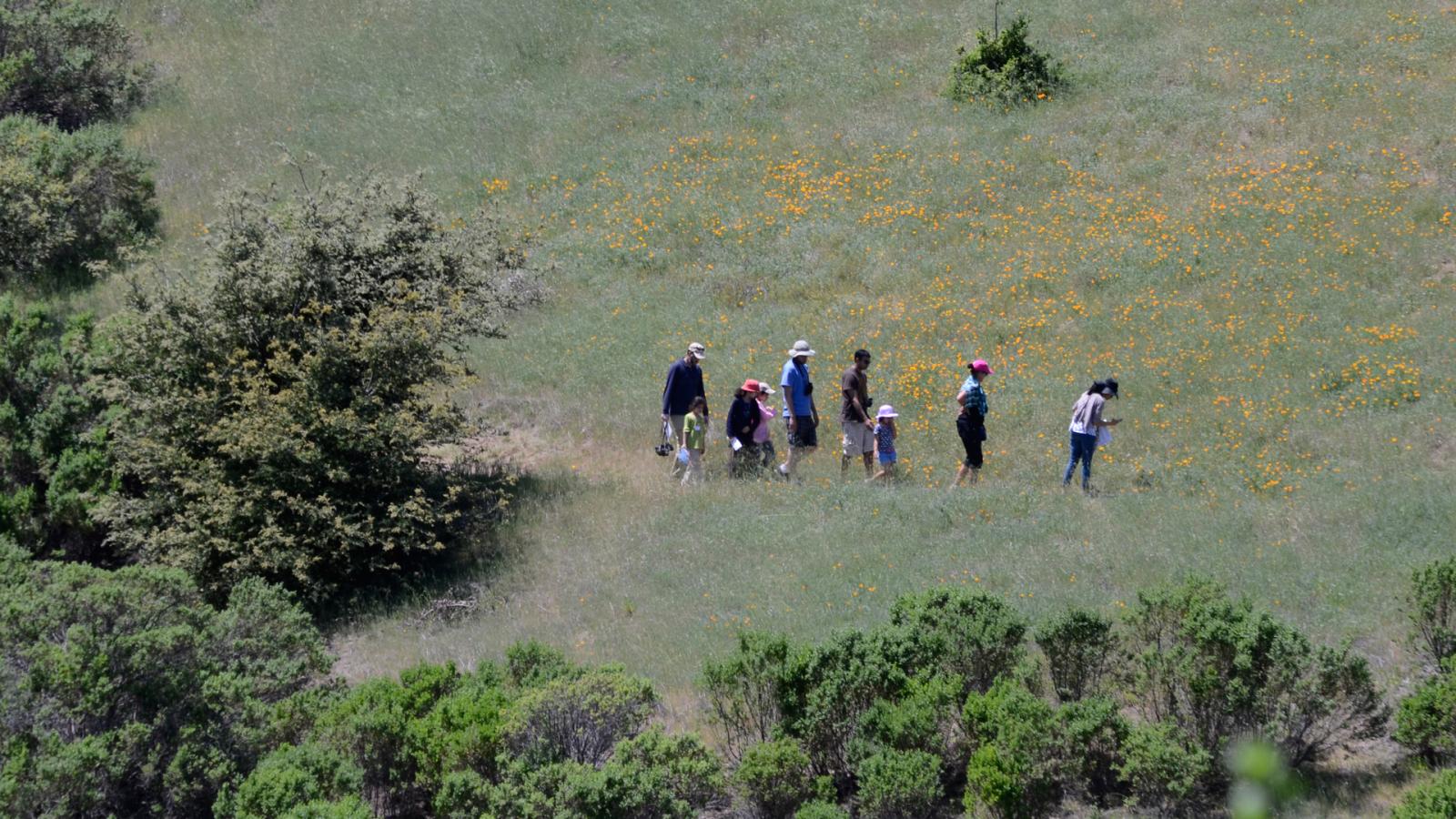 hikers on a trail
