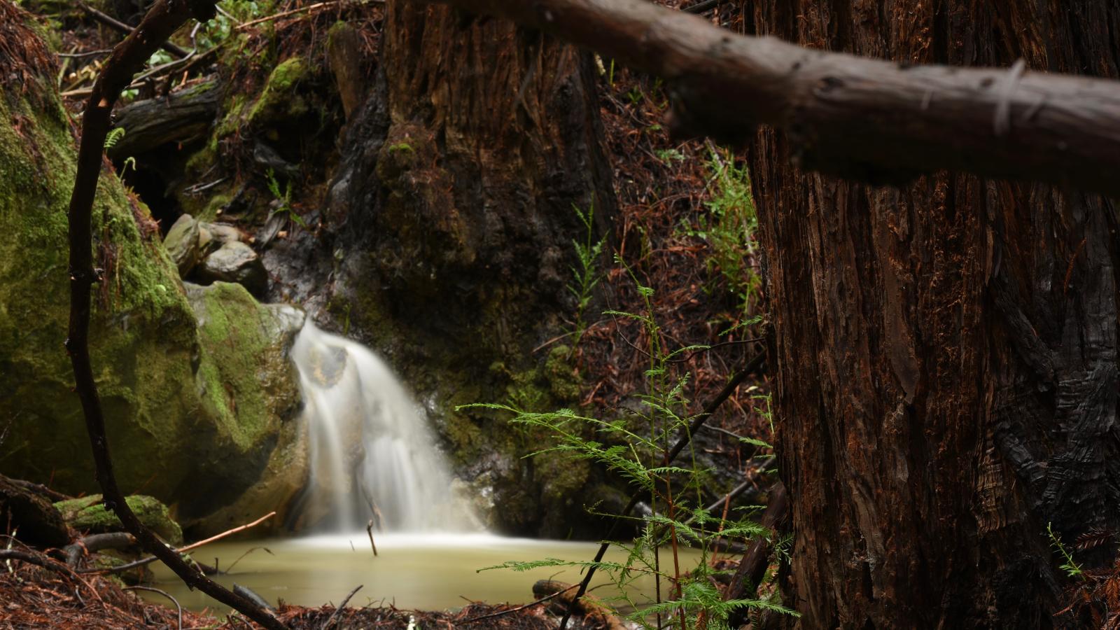 waterfall in Thornewood