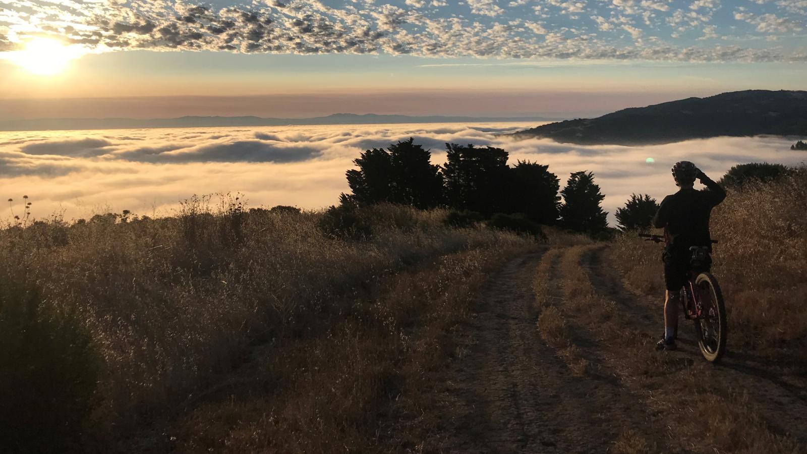 Mountain biking on Spring Ridge. Photo by Todd Scheuer.