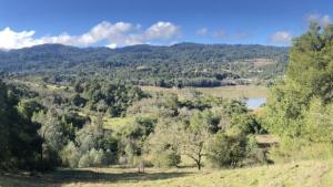 Potential site of new trail in Beatty Property 