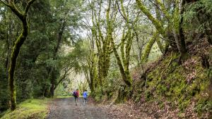 Hikers / photo by Alisha Laborico