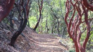 Mount Umunhum Trail / photo by Midpen staff 