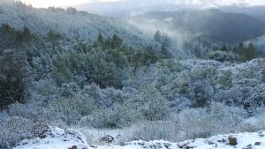 Snow on the Sierra Azul Range / photo by Peter Cook 