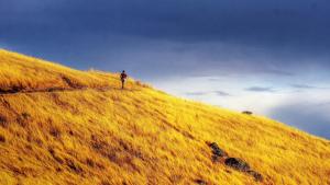 a man hiking on a golden hillside