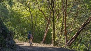 Hiking the Woods Trail / photo by Karl Gohl