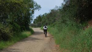 Photo by Midpen staff Cyclist at St. Joseph's Hill Preserve / staff photo